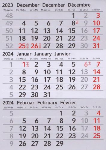 Ersatz-Kalendarien (magnetisch) für 2 Jahre (2024 + 2025) für Edelstahl-Tischkalender TypC/E/P